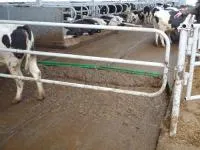 Оборудование для удаления навоза ДОНС-1В